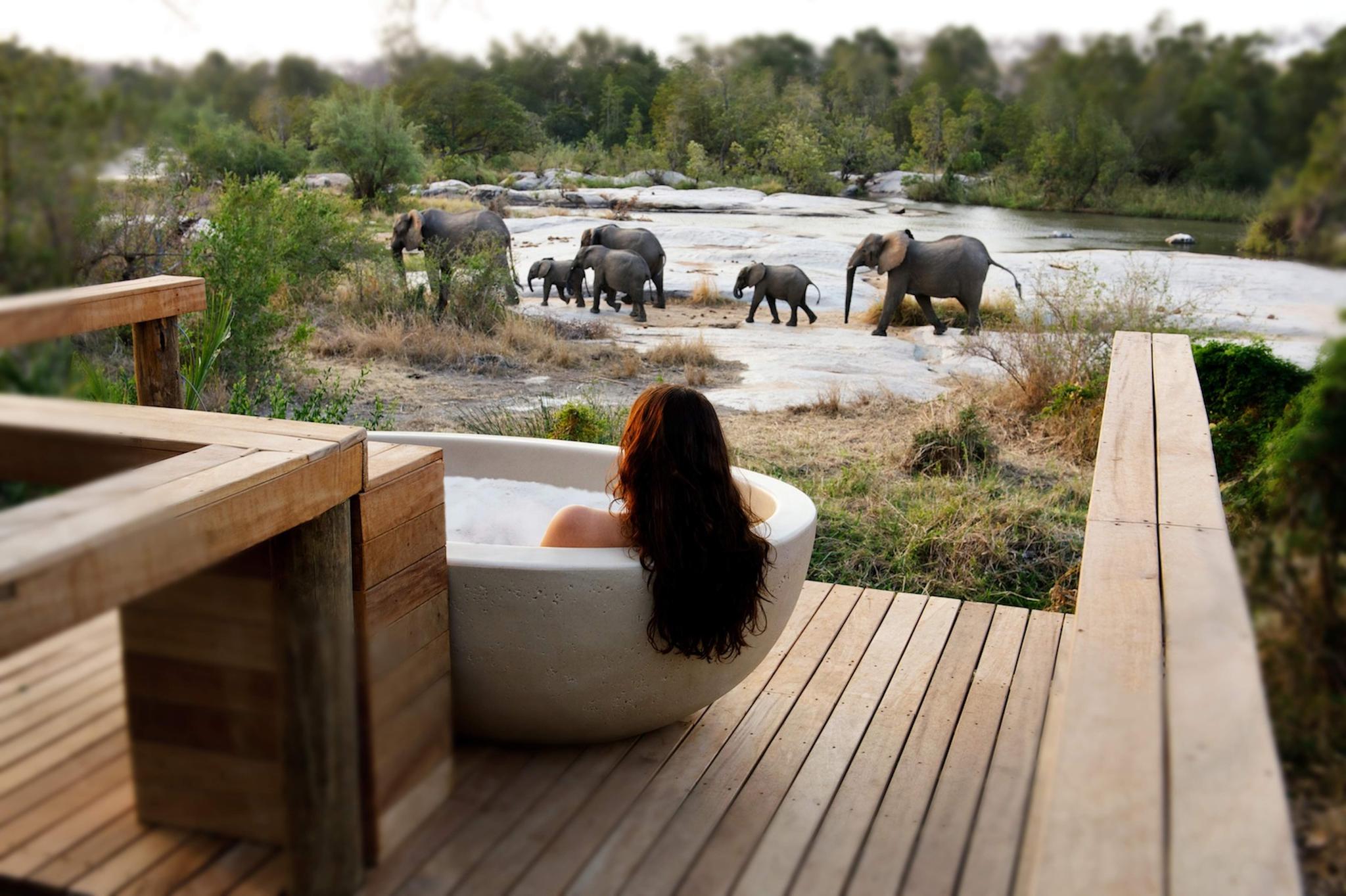 spa safari